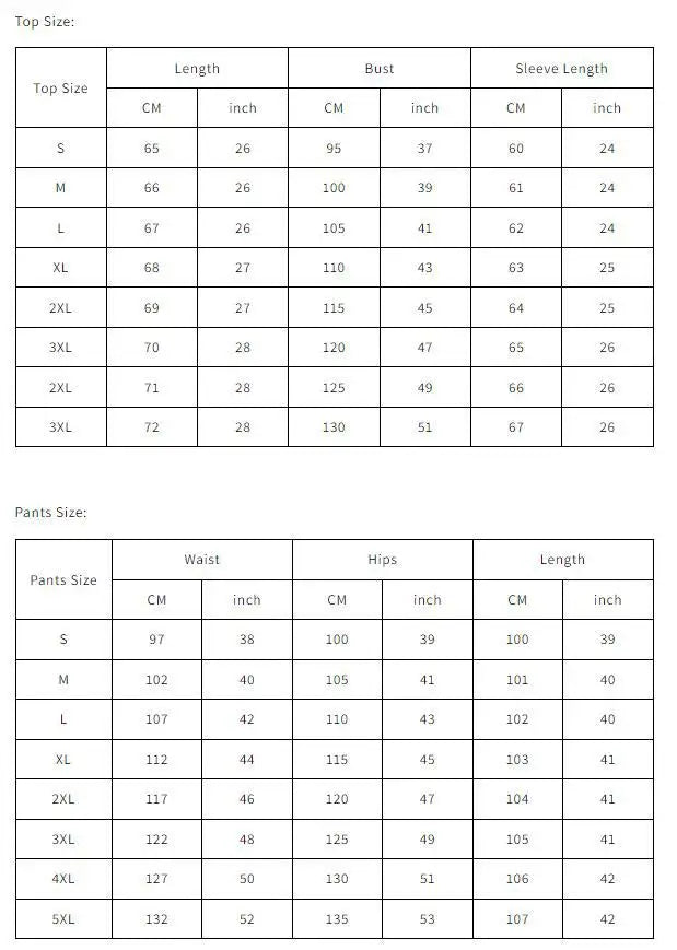 Autumn Winter Fashion Sports Style Two Piece Set Women Casual Solid V-neck Pullover Hoodie Wide Leg Pants Two Piece Set Women